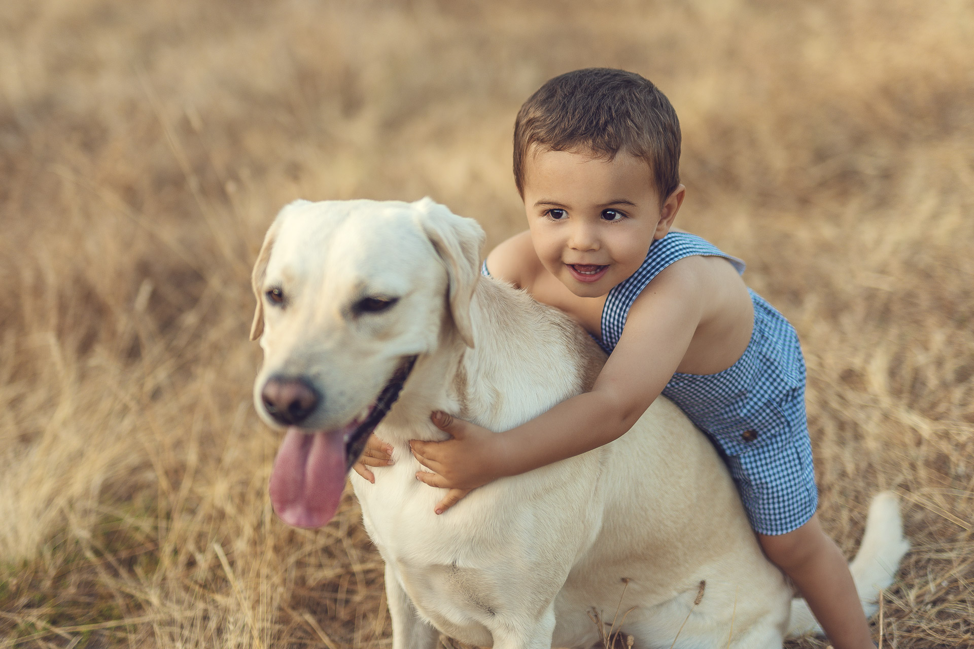 fotos con mascotas